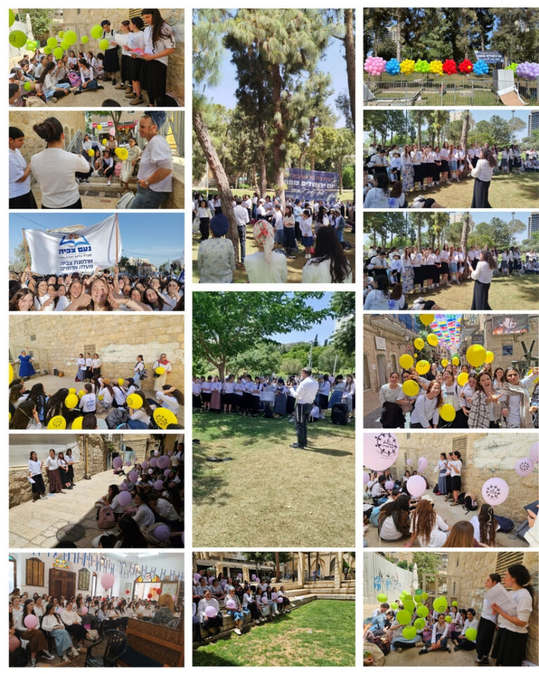 עדכון שבועי מס' 29 – פרשת במדבר